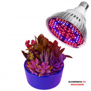 Đèn Led Kích Thích Tăng Trưởng Cho Cây Trồng E27 SMD 5730 Grow Light - Tản Nhiệt Nhôm 18/30/50/80w Uv Đèn Thủy Sinh