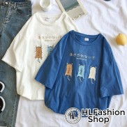 Áo thun tay lỡ in 3 CON MÈO NEVER GIVE UP kute phô mai - freesize
