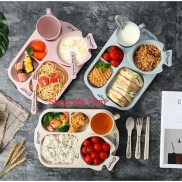 BỘ KHAY ĂN DẶM LÚA MẠCH ( 6 CHI TIẾT )