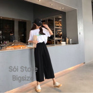 Quần ống rộng bigsize 40-105kg cluthes co giãn mặc hè