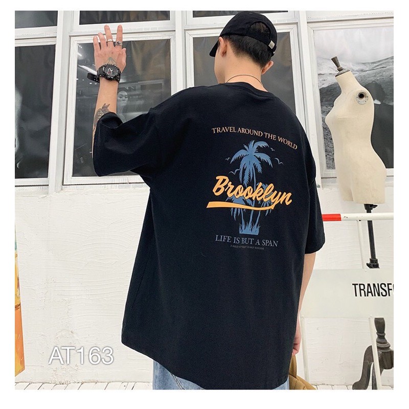 AT163 - ÁO THUN IN SPAN