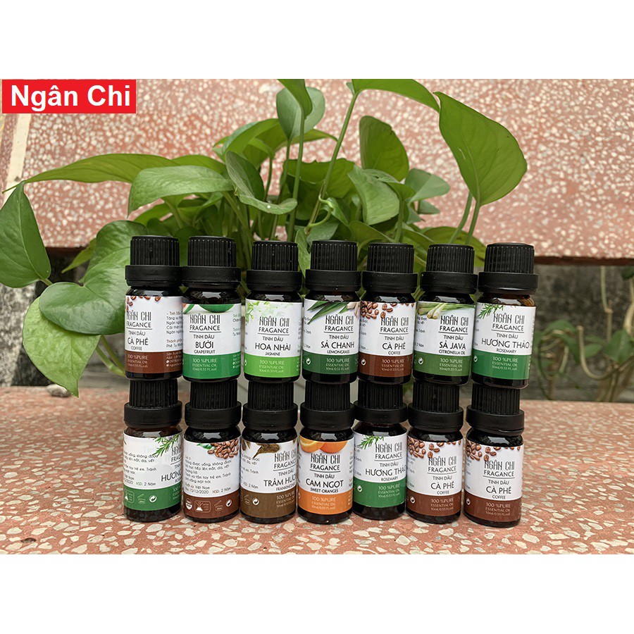 Tinh Dầu Thiên Nhiên 100 Ml Nguyên Chất Đậm Đặc
