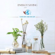 SET 5 lọ hoa thủy tinh MIX 5 MẪU SIÊU XINH tặng kèm 5 dây dừa trang trí