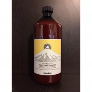 DẦU GỘI DAVINES PURIFYING TRỊ GÀU