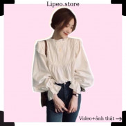 Áo Babydoll cánh tiên, áo babydoll cổ bèo nữ