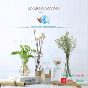 Lọ hoa thủy tinh mix 5 mẫu siêu xinh tặng kèm 5 dây dừa trang trí (combo 5 lọ)