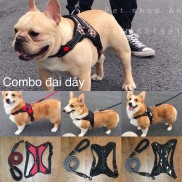 Combo đai yếm + dây dắt cho chó ( CÓ ẢNH THẬT)