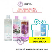 Nước Hoa Hồng chiết Xuất Cây Phỉ Derladie Natural Toner 500ml